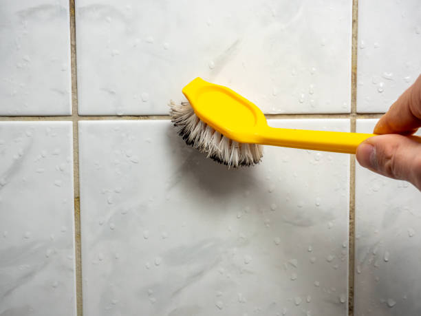 Best Localized Mold Remediation (e.g., coastal areas, humid climates) in Long Branch, VA