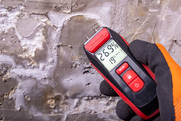 Best Health and Safety Mold Remediation in Long Branch, VA