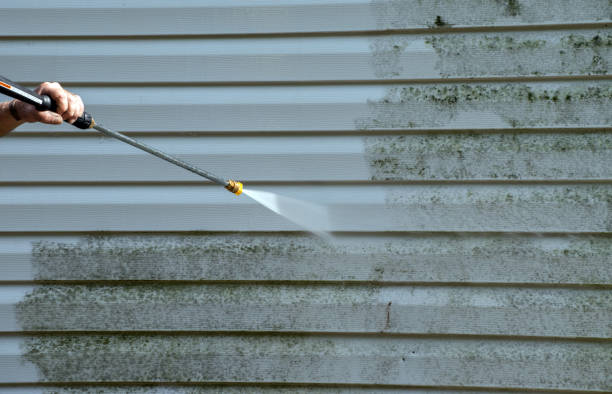 Best Mold Testing and Inspection Services in Long Branch, VA