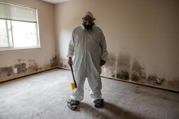 Best Residential Mold Remediation in Long Branch, VA